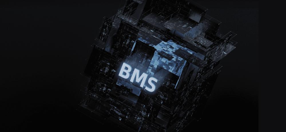 BMS System