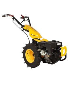 Motocultor multifunctional Progarden BT330/G177 9cp 3+2  