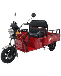 Tricicleta electrica SKY JET Ecopikap Master putere 2500 W 72V 32 AH viteza 25 km/h autonomie 45 km fara permis