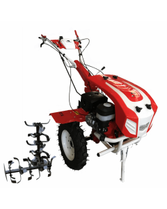 Motocultor Bisonte BTA-10SG motor 10 CP 2+1 viteze latime lucru 135 cm freze 2+2+1 cu discuri roti cauciuc 5.00x12"