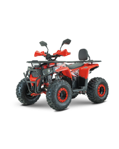 ATV RDB AY125 125cc Racire pe Aer 4 Timpi