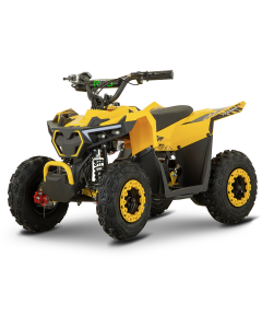 ATV Electric de Copii RDB FFG1000, 1000W, 36V / 12Ah, 25 km/h