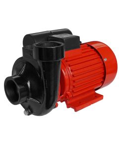 Pompa suprafata Raider RD-2DK20 putere 1500 W presiune 2 bar debit 30 mc/h inaltime refulare 20 m